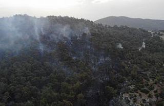 Çanakkale’deki orman yangını 16 saat sonra kontrol...