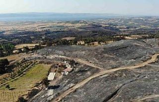 Çanakkale’deki orman yangını 52 saat sonra kontrol...