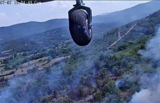 Çanakkale’deki orman yangınında yaklaşık 1...