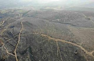 Çanakkale’deki orman yangınlarında 3 bin 500...