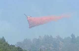 Çanakkale’deki orman yangınlarında hava araçları...