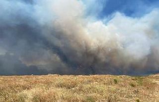 Çanakkale’deki yangında rüzgarın etkisiyle alevler...