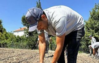 “Çandır Fasulyesi”çiftçiye kazandıracak