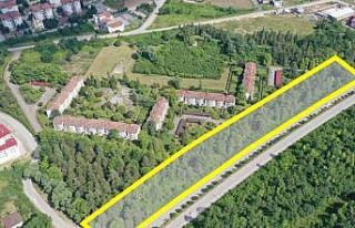 Çarşamba’ya 16 bin metrekarelik yeni mesire alanı