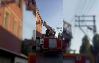 Çatıya sıkışan karga kurtarıldı