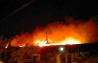 Çeşme’de çamlık alanda yangın