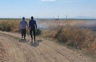 Ceviz fidanı dikili alanda yangın