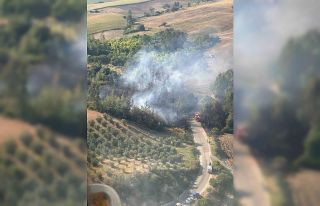 Ceyhan’da orman yangını