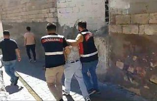 Cezaevi firarisi ahırda yakalandı