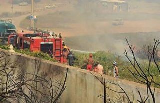 Cezayir’de orman yangını: 15 ölü