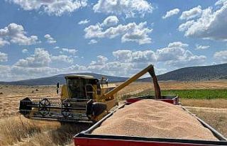 Çifteler ilçesinde çiftçi dönümden 1 ton buğday...