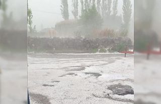 Çıldır’da dolu yağışı ekili alanlara zarar...