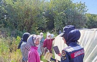 Çilek işçisi kadınlara “En iyi narkotik polisi...