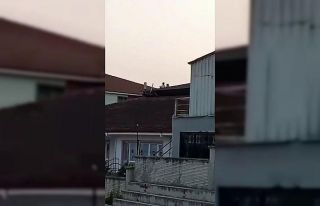 Çocukların tehlikeli oyunu: Önce yangın merdiveni...