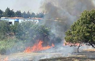 Çorlu’da 600 dönüm anız ve ağaçlık alan cayır...