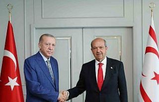 Cumhurbaşkanı Erdoğan, Tatar ile görüştü