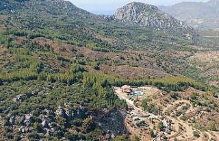 Datça yangını kontrol altında