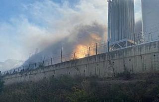 Demir çelik fabrikasında yangın