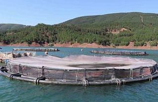 Denizi olamayan kentten Japonya ve Rusya’ya somon...