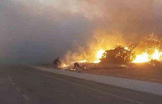 Didim’de makilik yangını
