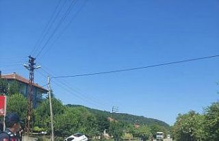 Direksiyon hakimiyetini kaybeden sürücü kanala...