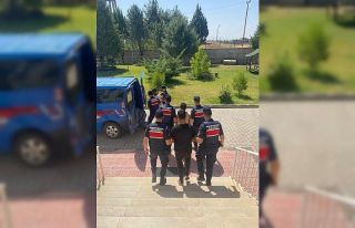 Diyarbakır’da büyükbaş hayvan çalan 2 kişi...