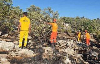 Diyarbakır’da iki ayrı anız yangını ormanlık...