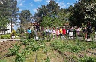 Doğa Eğitim Merkezi hafta sonları da açık olacak