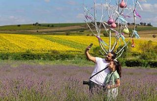 Doğaya aykırı rengiyle fotoğrafseverlerin uğrak...