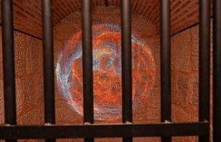 Doğayı teknolojiyle harmanlayan sergi