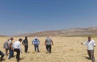 Dolu yağışı tarım arazilerine zarar verdi