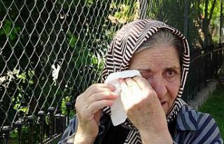 Dünyaca ünlü falezlerdeki yangın ağlattı