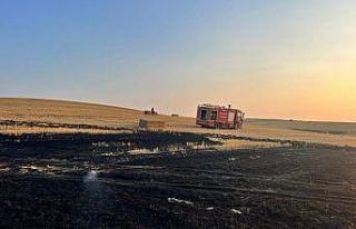 Edirne’de 40 dönüm buğday tarlası ve 500 saman...