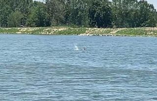 Edirne’de bir vatandaş Meriç Nehrini yüzerek...