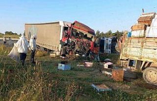 Edirne’de, Muğlalı arıcılara tır çarptı:...