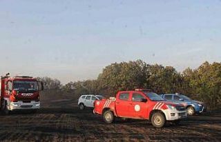 Edirne’de orman yangını söndürüldü