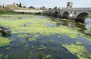 Edirne’de Tunca Nehri plastik atıklar ve çöplerle...