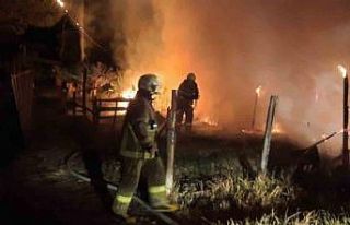 Edremit’te saya yangını