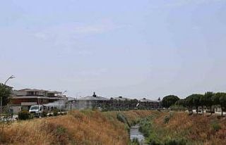 Edremit’te sinekle 7/24 mücadele