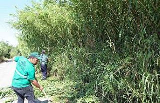 Efeler Belediyesi ekiplerinden kargı temizliği
