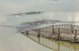 Efteni Gölü’nde hasarın boyutu ortaya çıktı