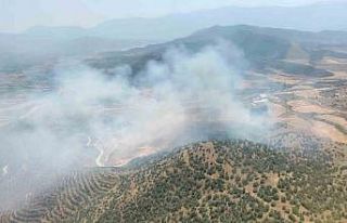 Ekin tarlasında başlayan yangın ormana sıçradı