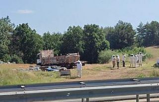 Ekipler 4 ölümlü kazaya arıcı kıyafeti giyerek...