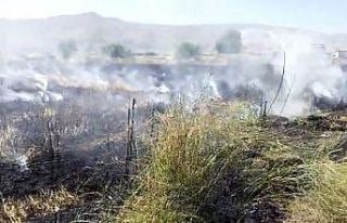 Elazığ’da 10 dönüm tarım arazisi yandı