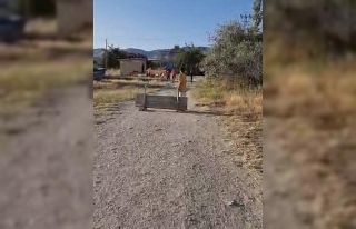 Elazığ’da çocuklar survivor heyecanını kurdukları...