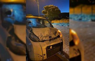 Elazığ’da hafif ticari aracın çarptığı inek...