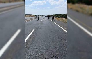 Elazığ’da yolun karşısına geçmeye çalışan...