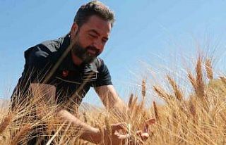 Elbistan Belediyesi halk ekmeği bedava verecek