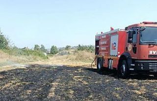 Elektrik tellerine çarpan kuş anız yangını çıkardı