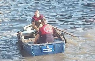 Elektrik tellerine takılan martı tekne ile kurtarıldı